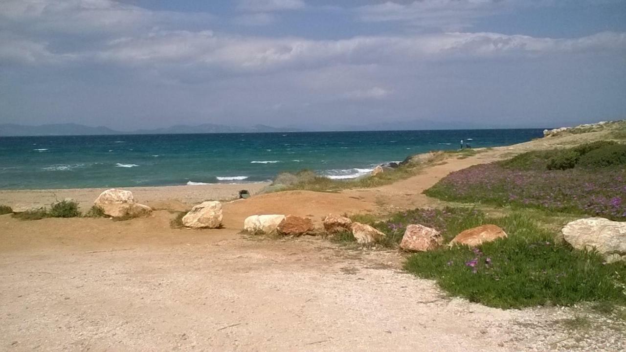 Apartamento Nireos Proteos 20 Rafína Exterior foto